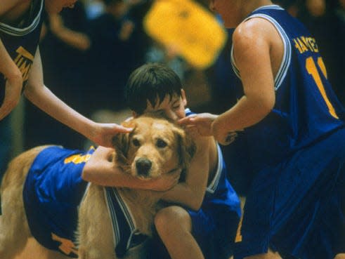 AirBud2