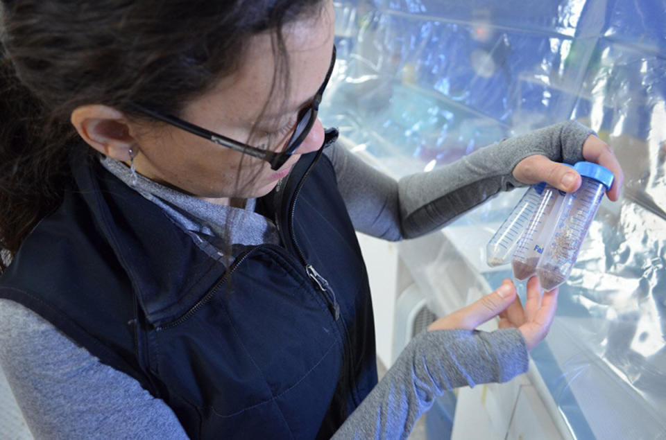 Dr. Yajaira Sierra-Sastre  looks at soil samples. (<a href="http://hi-seas.org/">Dr. Sian Proctor</a>)