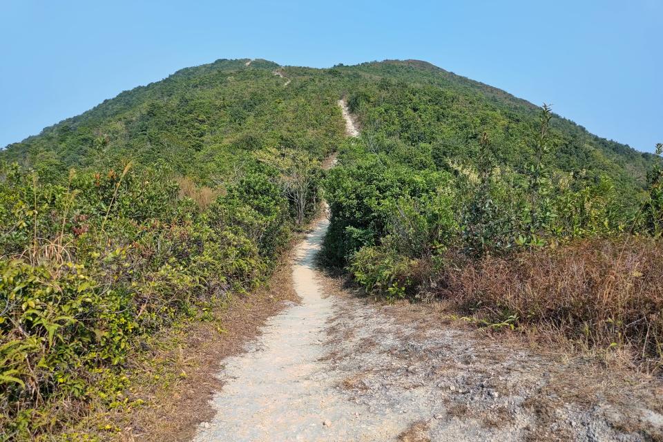 觀景台後就是一連串的上山路