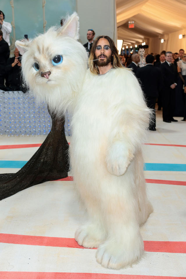 James Harden Pulls Up To Playoff Game In Furry Outfit, What Met Gala?!