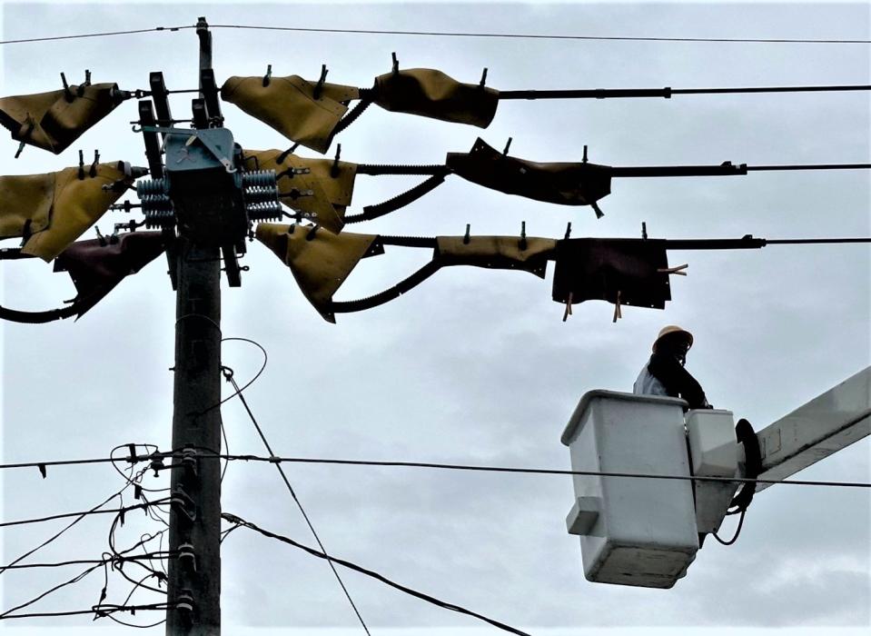 台電人員登升空車進行電力修護。（台電提供）