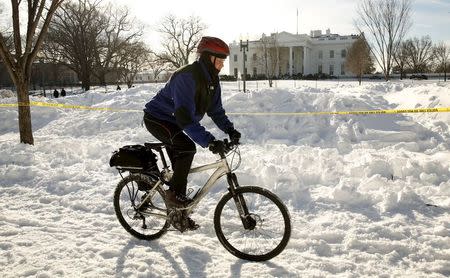 A cyclist makes his way along snow-covered Pennsylvania Avenue in front of the White House in Washington January 25, 2016. REUTERS/Kevin Lamarque