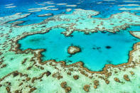 <p> Almost 3,000 individual&#xA0;reefs&#xA0;make up the biggest coral system in the world. It&#x2019;s home to 1,500 fish species, a third of the world&#x2019;s soft coral and six of the world&#x2019;s seven species of sea turtle. It was established as a World Heritage Site in 1981, and restrictions on fishing and tourism were put in place.&#xA0; </p> <p> Sadly, the&#xA0;Great Barrier Reef&#xA0;has lost half its coral since 1985. The damage is happening so fast scientists can&#x2019;t keep up. Corals have died off because of pollution, invasive species and a process called&#xA0;coral bleaching, according to&#xA0;Science&#xA0;magazine. The water on the planet is simply getting too warm for corals to survive but, according to an article published by&#xA0;Nature&#xA0;on Nov. 27, 2019, scientists are protecting the more resilient reefs while nursing others back to health. </p>