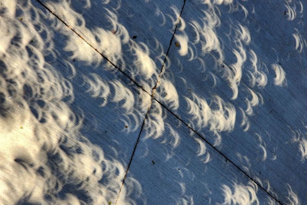 Watch the progress of a solar eclipse through the shadows of your favorite shade tree