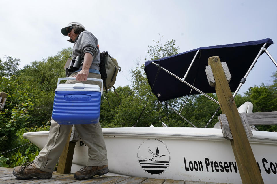 Biologist Tiffany Grade carries a cooler containing a non-viable loon egg collected from Squam Lake, Friday, June 25, 2021, in Holderness, N.H. Grade is studying the impact PCB's are having on loons, and will examine the egg for possible PCB contamination. Researchers in New Hampshire have long struggled to understand why loon numbers have stagnated on the lake, despite a robust effort to protect them. (AP Photo/Elise Amendola)