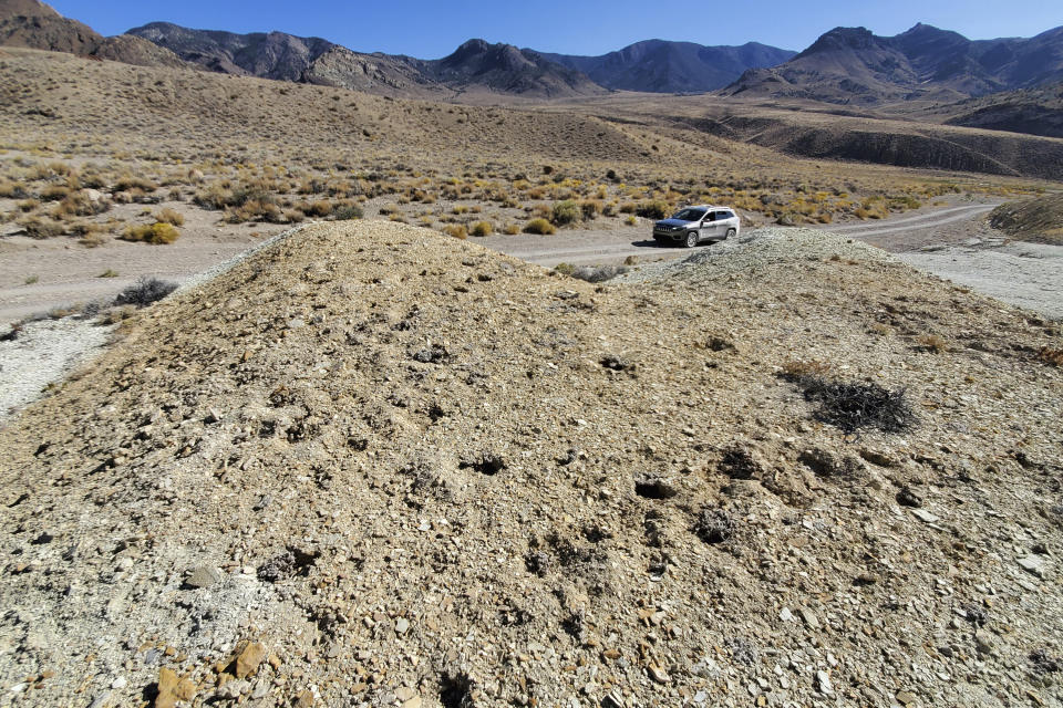 This Sept. 12, 2020, photo provided by the Center For Biological Diversity, shows the scene where thousands of rare desert wildflowers have been dug up at Rhyolite Ridge, about 200 miles southeast of Reno, Nev. Federal officials are investigating the destruction of a significant portion of the remaining population of an extremely rare desert wildflower that's being considered for endangered species protection and could jeopardize plans to build a lithium mine in Nevada, the Associated Press has learned. (Patrick Donnelly/Center For Biological Diversity via AP)