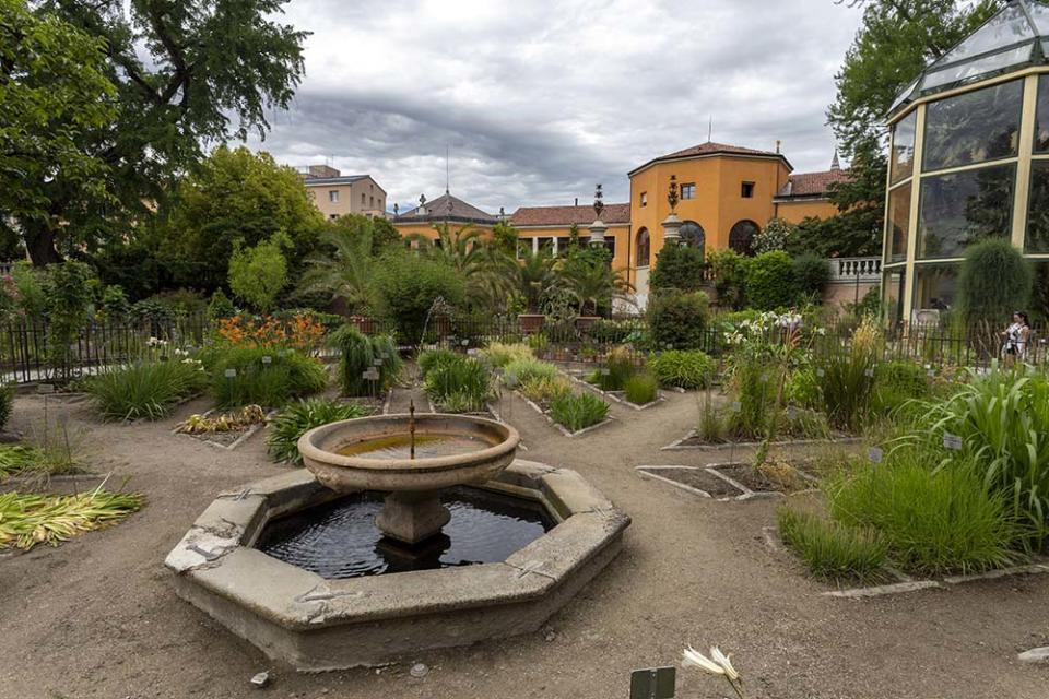 帕多瓦植物園（Image Source : Getty Creative）