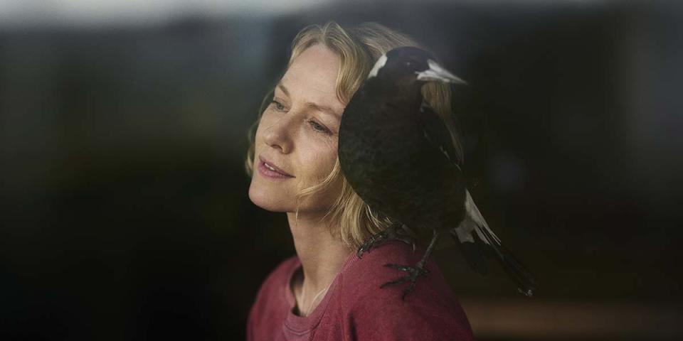 Naomi Watts stars as a paralyzed woman who mothers a magpie back to health as she recovers as well in "Penguin Bloom."