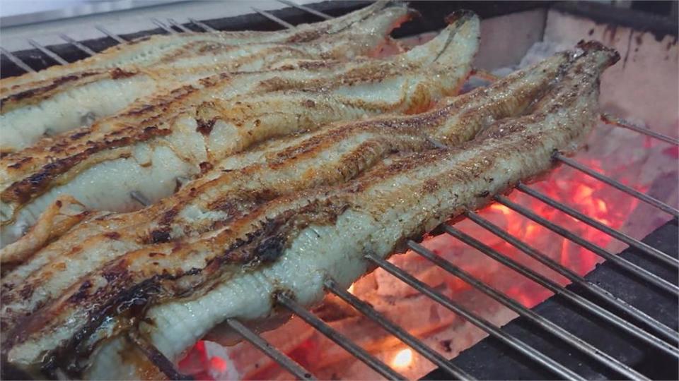 疫情下的美味確幸！「銷日級鰻魚」留在台灣便宜吃