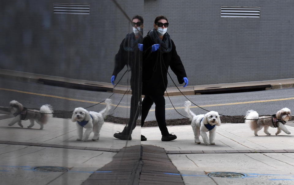 Clad in gloves and a mask, a woman walks dogs in the Rosslyn neighborhood on Wednesday April 01, 2020 in Arlington, VA. (Photo: Matt McClain/The Washington Post via Getty Images)