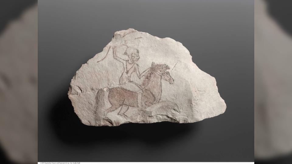 An Egyptian drawing of the goddess Astarte on horseback that dates to the 19th dynasty, about 1,500 years after the first known Yamnaya riders. This horse has a stock build and is smaller and shorter than modern horses are.