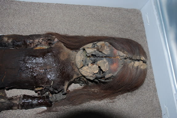 The black chest of this Chinchorro mummy shows signs of degradation, even though it is housed at the University of Tarapacá’s archeological museum in Arica, Chile.