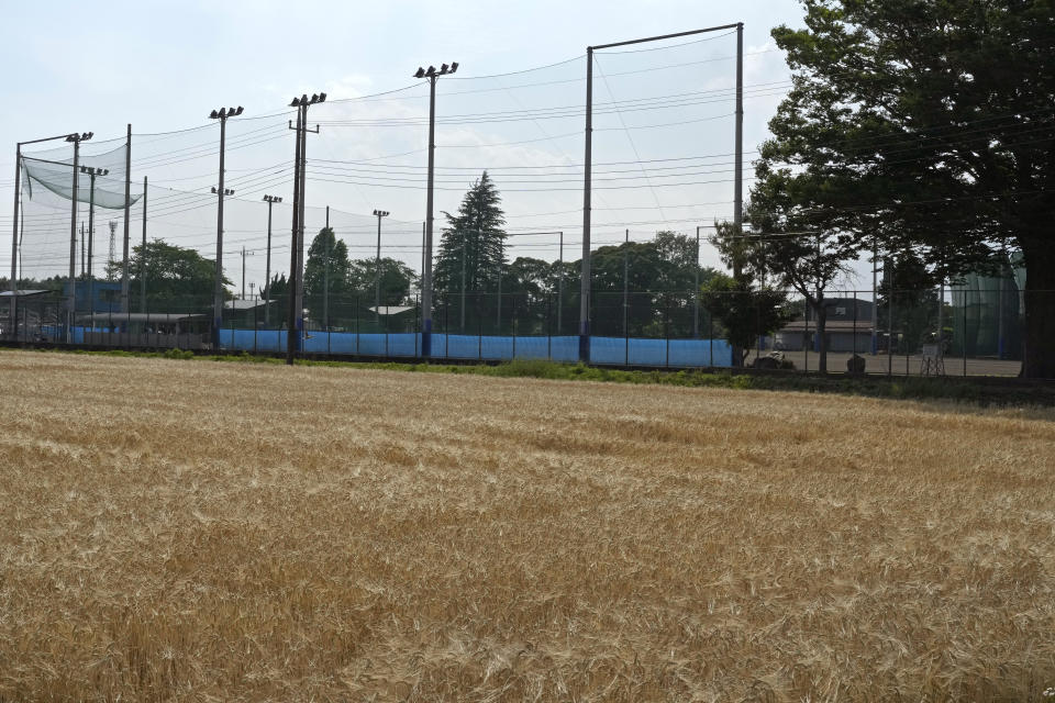 The practice field of Japanese women's team, Agekke, is seen over wheat field in Oyama, Tochigi prefecture, north of Tokyo, Tuesday, May 30, 2023. The 31-year-old Japanese woman Eri Yoshida is a knuckleball pitcher with a sidearm delivery that she hopes might carry her to the big leagues in the United States or Japan. (AP Photo/Shuji Kajiyama)