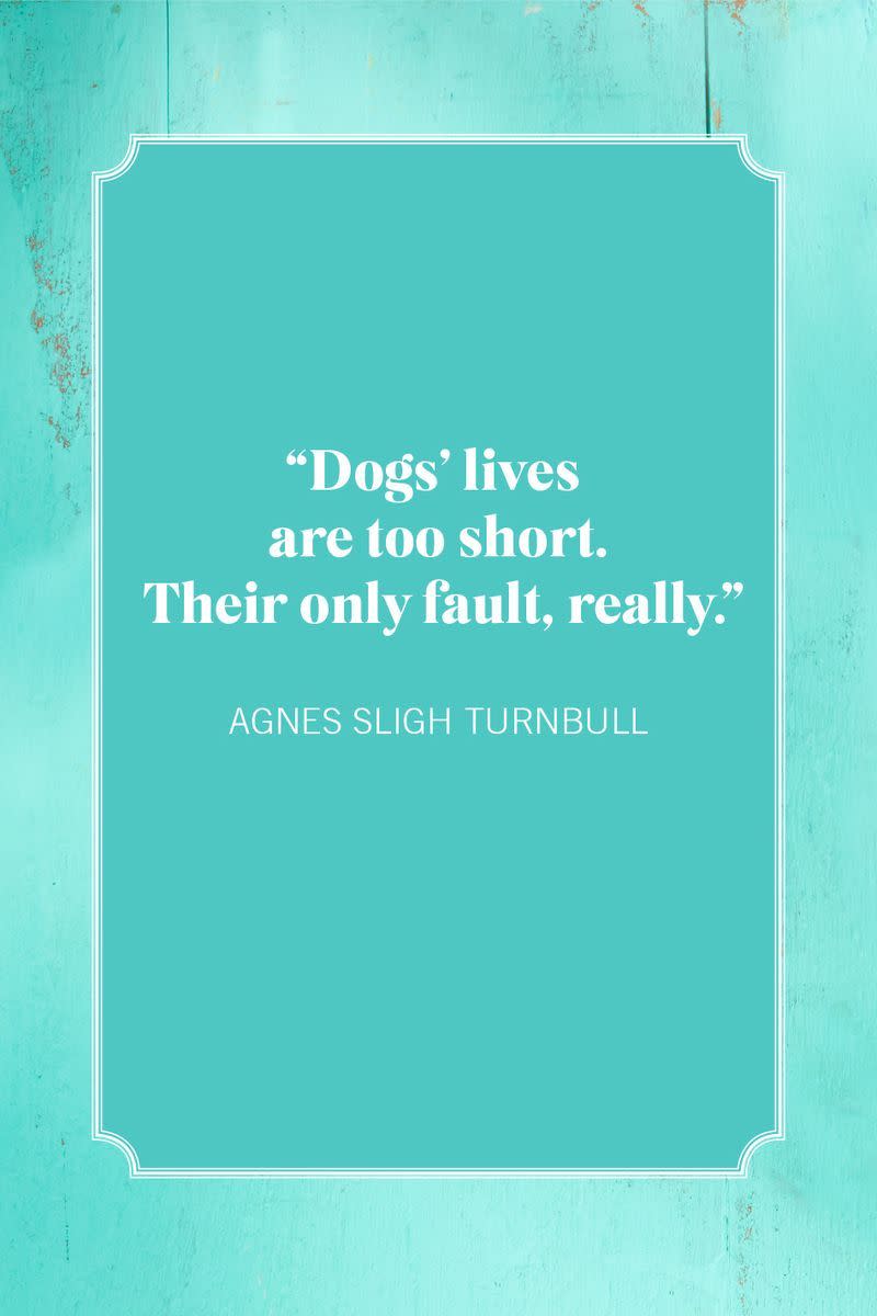 dog mom quotes agnes sligh turnbull