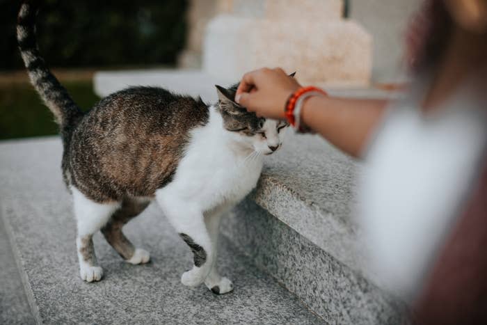   Carol Yepes / Getty Images