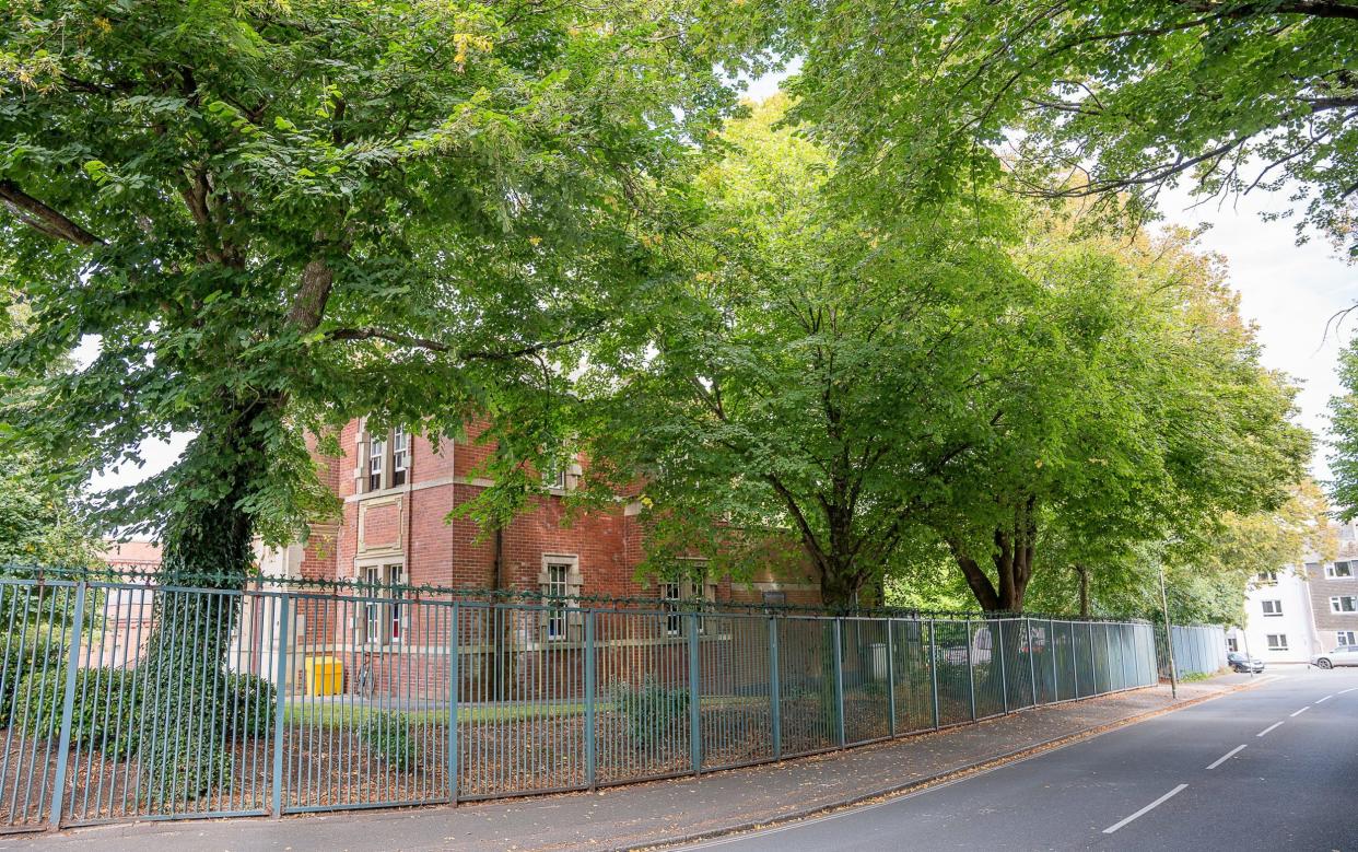 The trees outside the military building on Lambhay Hill Road, Plymouth