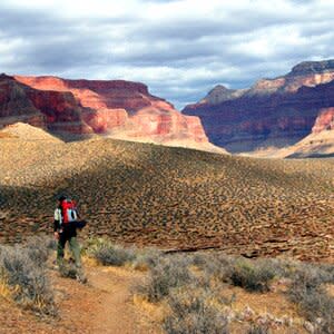 Hiking in the Tonto National Forest