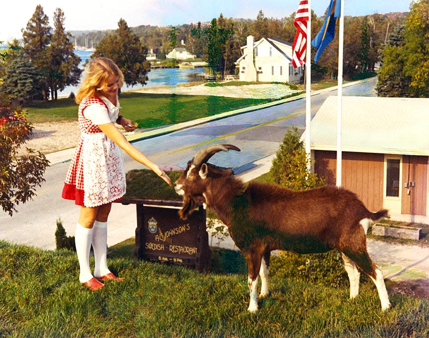 Staff member Gunilla Wilson joins Oscar, the first of many goats to appear on the green sod roof of Al Johnson's Swedish Restaurant, in this photo from 1973, the year Oscar debuted up there. Originally from Sweden, Wilson moved to Sister Bay in the early 1970s and continued working with the business, retiring as manager of its Butik five years ago.