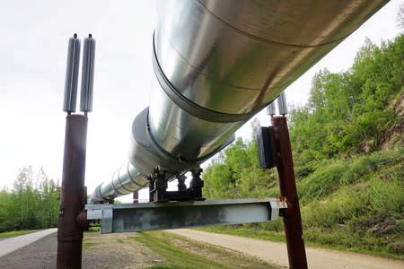 The Trans Alaska Pipeline is pictured near the midpoint of the 800-mile line, near Fairbanks