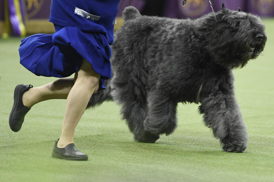 (Photo by Sarah Stier/Getty Images)