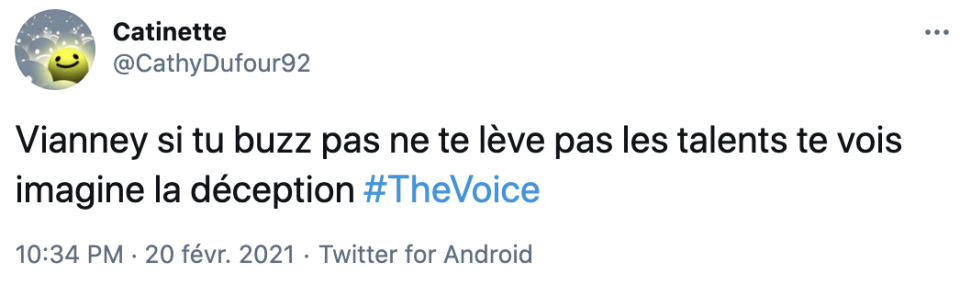 Les internautes sont déçus par l'attitude de Vianney envers les talents de The Voice.