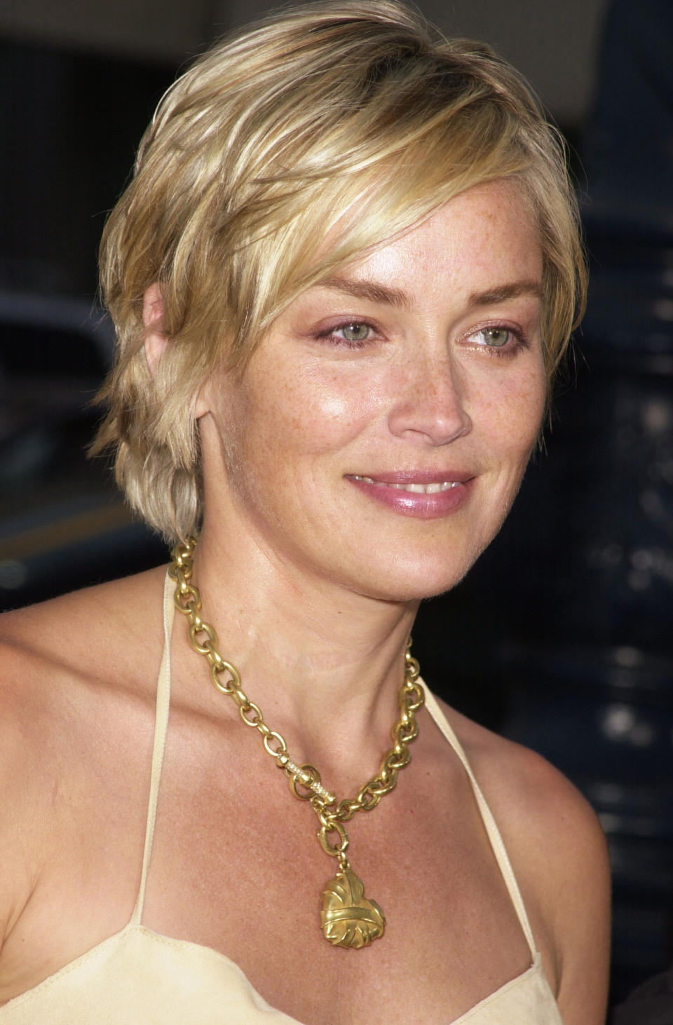 Sharon Stone at the "A.I. Artificial Intelligence" premiere. (Photo by Frank Trapper/Corbis via Getty Images)