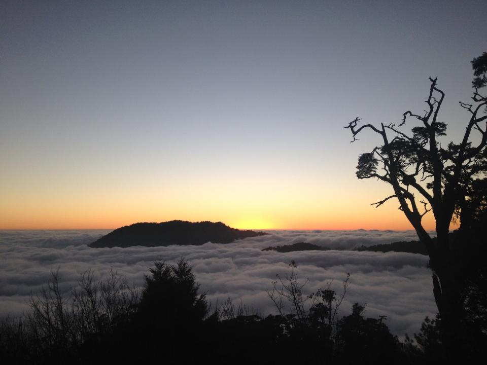 大雪山國家森林遊樂區雲海景觀。   東勢林管處/提供