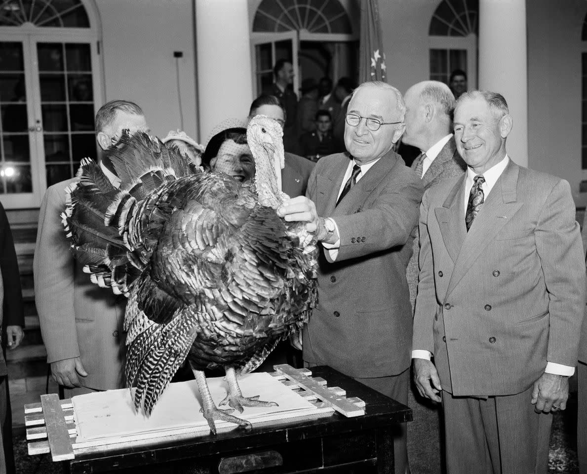 President Harry S. Truman squints as he fingers the wattle of a 35-pound Tom turkey from Oregon as it is presented to him, in the White House Rose Garden on Nov. 18, 1952. The turkey, intended for the president’s last Thanksgiving in the White House, was made by representatives of the Poultry and Egg National Board and the National Turkey Federation. At right is Loren Johnson, of Corvallis, Ore., one of the group making the presentation. (Photo: Henry Griffin/AP)