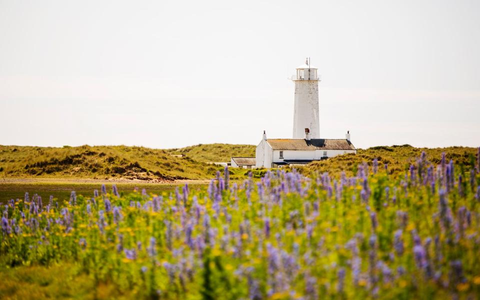 walney island - Getty