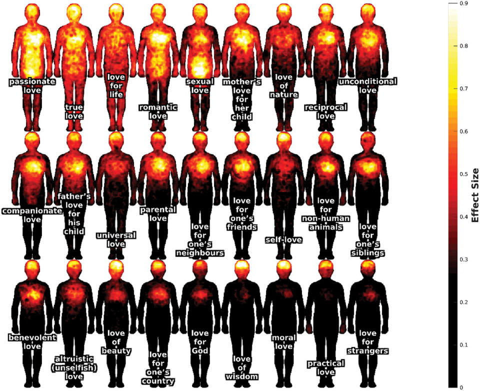 Wo sitzt die Liebe? Die Körperkarten einer neuen Studie zeigen es (Bild: Aalto Universität)