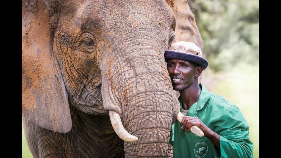 Murera was rescued in 2012 by the trust.