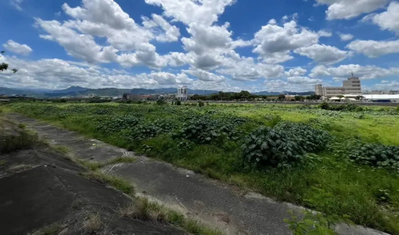 ▲頭汴坑溪十九甲側河堤草長得比人高，民眾抱怨有蛇蟲出沒。（圖／江和樹提供，2024.06.26）