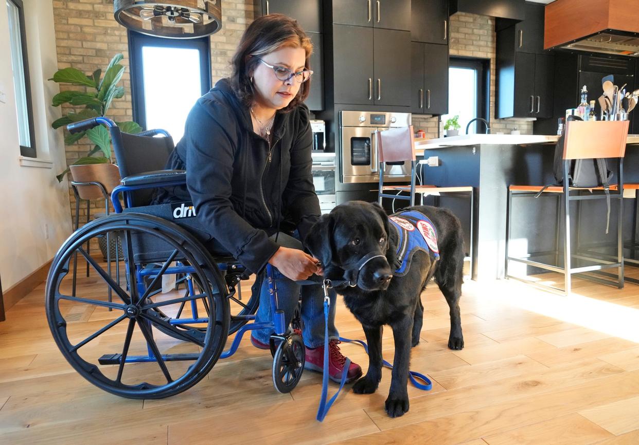 Sarah Hwang works to attach the vest of her service dog, Goblin, a five-year-old black lab, on Dec. 14. Hwang, who was diagnosed with multiple sclerosis in 1999, said insurance companies often refuse to cover the medical treatments she is prescribed for her disorder.