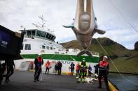 <p>"Petite blanche" et "Petite grise", deux femelles bélugas de 900 kilos chacune mesurant quatre mètres de long, peuvent désormais nager librement dans une baie d'un peu plus de 30.000 mètres carrés en Islande.</p>