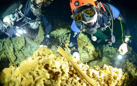 Divers from the Great Mayan Aquifer project combing through the caves have found cultural artefacts, 9,000 year old human remains and Pleistocene bones - Credit:  Jan Arild Aaserud/INAH