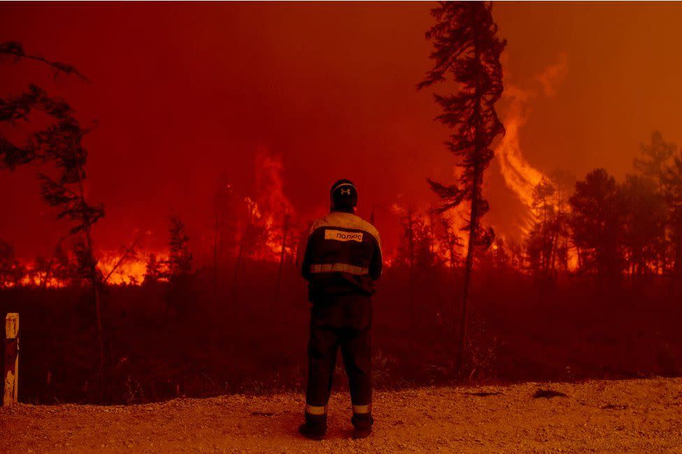 Incendio forestal