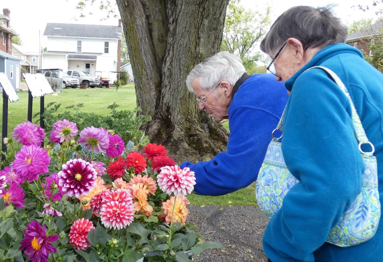 Dr. Jim Barth and Donna Barth examine flowers for sale at the Dutchtown Farmers Market in New Washington on Thursday.