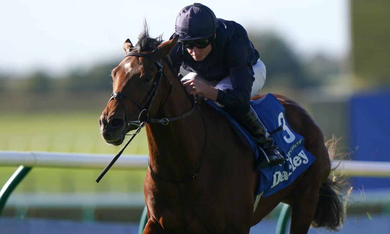 <span>City Of Troy is a hot favourite for Saturday’s 2,000 Guineas ar Newmarket.</span><span>Photograph: Tim Goode for The Jockey Club/PA</span>