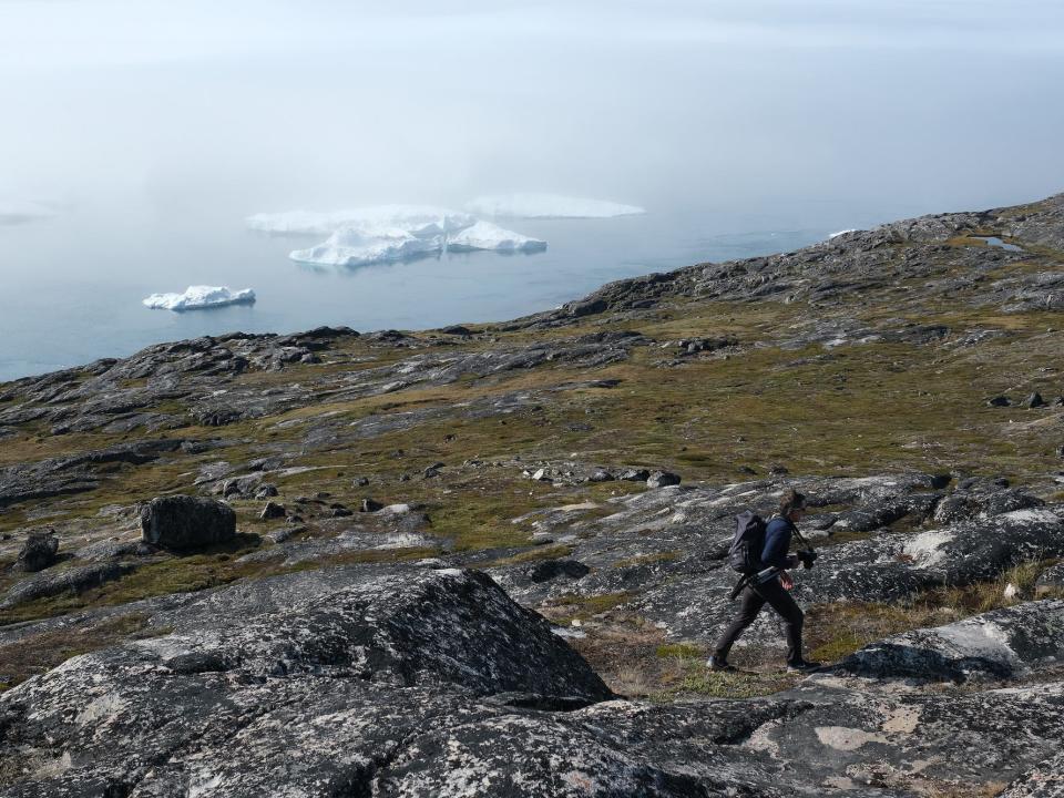 A visitor walks along a hillside near icebergs floating in the Ilulissat Icefjord in a bank of fog during a week of unseasonably warm weather on August 3, 2019 near Ilulissat, Greenland. The Sahara heat wave that recently sent temperatures to record levels in parts of Europe has also reached Greenland. Climate change is having a profound effect in Greenland, where over the last several decades summers have become longer and the rate that glaciers and the Greenland ice cap are retreating has accelerated.