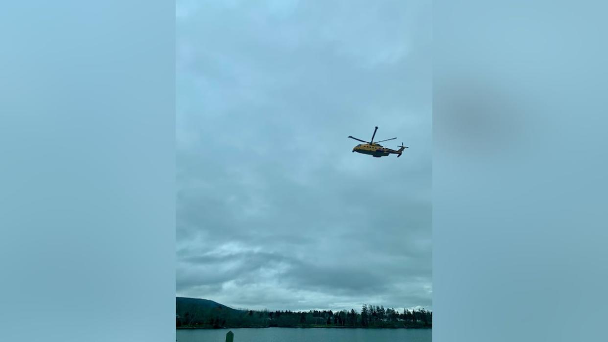 A search was launched that included zodiac boats, a helicopter, a number of local volunteer fire departments, RCMP and Valley search and rescue crews, the local fire chief says. (Submitted - image credit)
