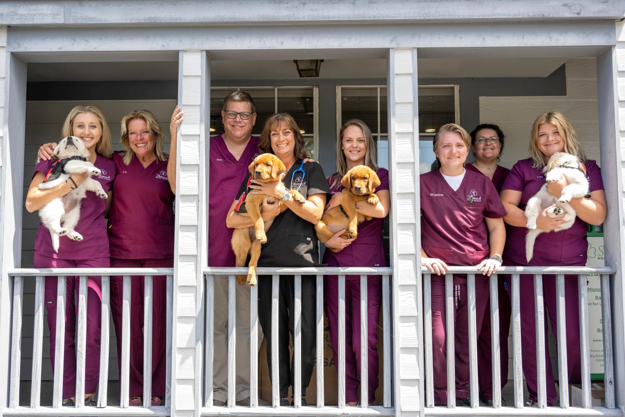 Dr. Raquel Fagan and her team at Shamrock Animal Hospital. [Cindy Peterson/Correspondent]