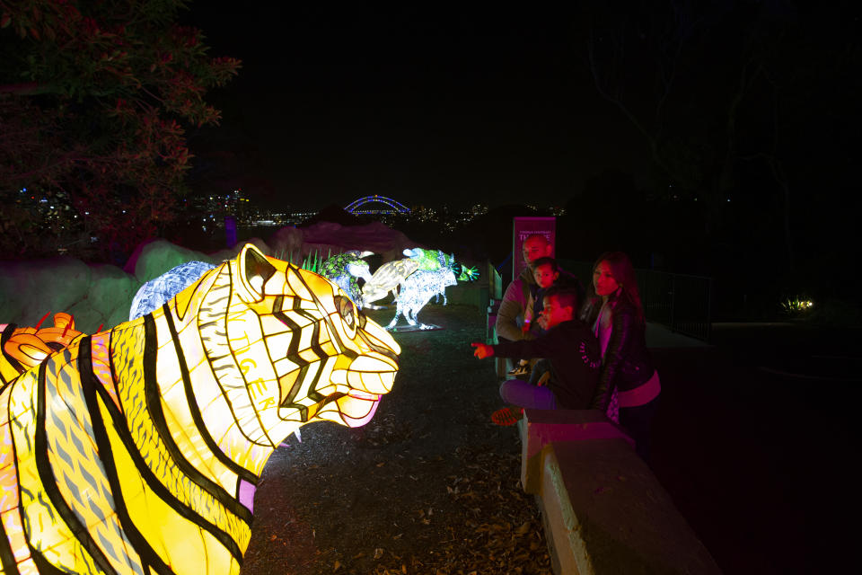 The multimedia light sculpture of the Sumatran Tiger is back for another round of Vivid. Photo: Manuela Leigh