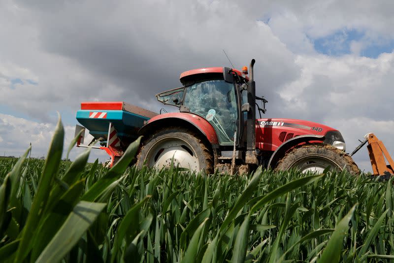 FILE PHOTO: A farmer spreads nitrogen fertilizer in his wheat field in Blecourt,