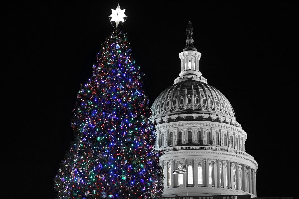 WASHINGTON, DC - DECEMBER 04: The 2012 Capitol Christmas Tree is seen after U.S. Speaker of the House Rep. John Boehner (R-OH) lit it up with Ryan Shuster, a senior at Discovery Canyon Campus in Colorado Spring, Colorado, December 4, 2012 at the West Front Lawn of the U.S. Capitol in Washington, DC. The year's tree is a 65-foot Engelmann spruce from the Blanco Ranger District of the White River National Forest in Colorado. (Photo by Alex Wong/Getty Images)