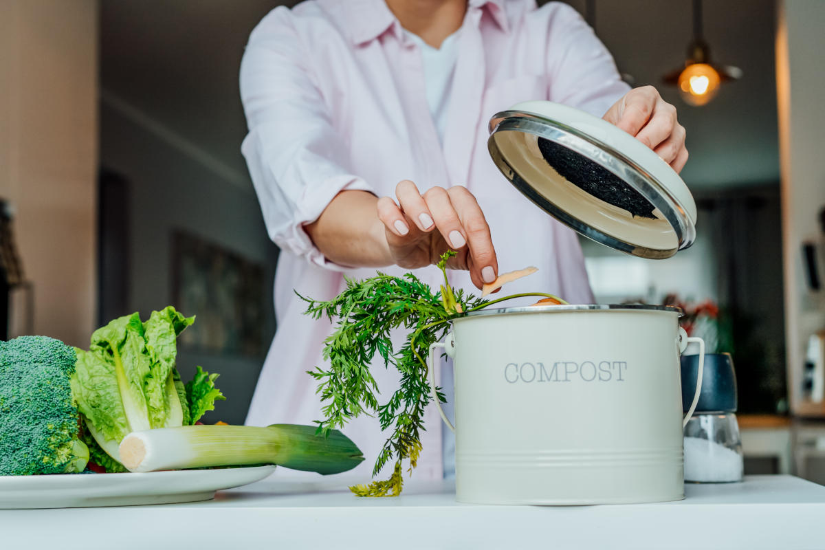 simplehuman Compost Caddy, Detachable and Countertop Bin, 4 Liter / 1.06  Gallon, Brushed Stainless Steel