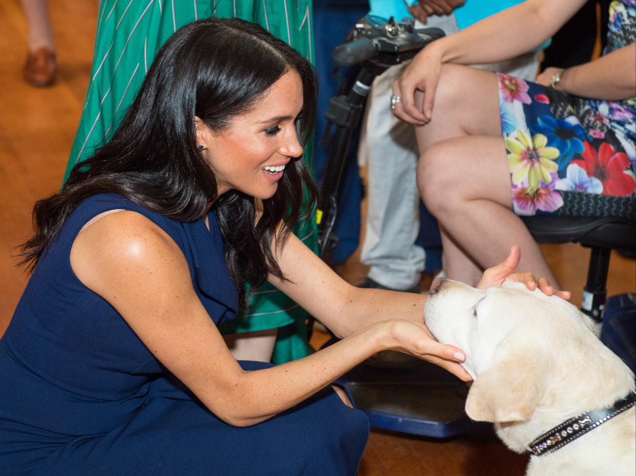 Meghan, duquesa de Sussex, acaricia a un perro guía en Australia (Getty Images)