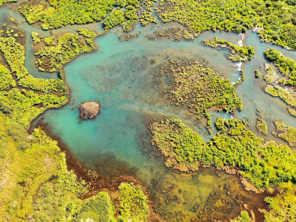 bright blue water with beaver lodge surrounded by bright green shrubs