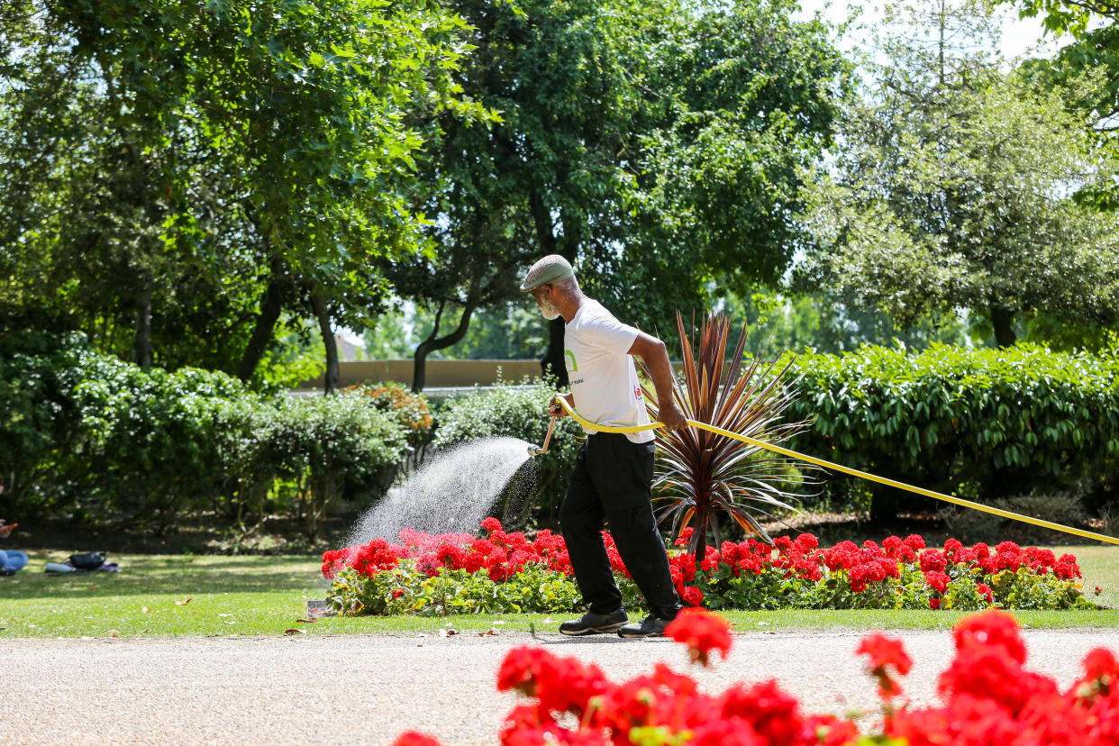 LONDON, UNITED KINGDOM - 2022/07/08: A gardener waters the flowers using a hosepipe. As the heatwave continues, there are fears of water shortage and a hosepipe ban in London. (Photo by Dinendra Haria/SOPA Images/LightRocket via Getty Images)