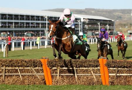 Horse Racing - Cheltenham Festival - Cheltenham Racecourse - 10/3/15 Ruby Walsh on Faugheen before winning the 15.20 Stan James Champion Hurdle Challenge Trophy Action Images via Reuters / Matthew Childs Livepic