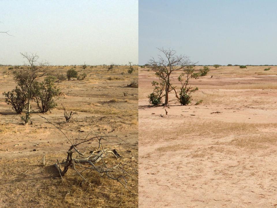 Side-by-side images of Senegal showing land degradation over nearly 20 years with browner soil and less greenery on the right